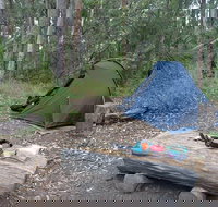 Northbrook Mountain Bush Camp - Hotel Accommodation