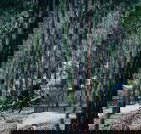 Old Tambo Downhill Mountain Bike Track