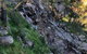 Pine Gully Nature Trail - thumb 0