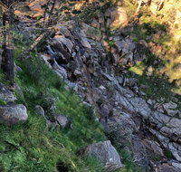 Pine Gully Nature Trail - Hotel Accommodation