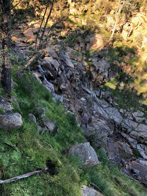 Pine Gully Nature Trail - Hotel Accommodation 0