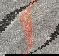 Red Poles Art Gallery - Hotel Accommodation