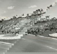 Rockhampton Bull Statues - Hotel Accommodation