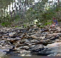 Rocksberg Park Heritage Reserve - Hotel Accommodation