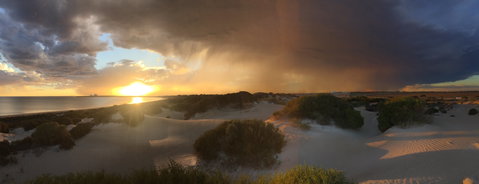 Shelly Beach Dune Walk Trail - Hotel Accommodation 2