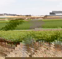 Smidge Wines Tasting Room - Hotel Accommodation