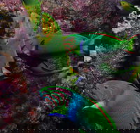 Sunshine Reef - Hotel Accommodation