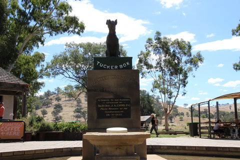 The Dog On The Tucker Box - Hotel Accommodation 2