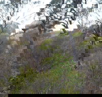 Tolmer Rocks - Mount Boothby Conservation Park - Hotel Accommodation