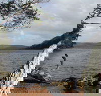 Walpole-Nornalup Inlet - Hotel Accommodation