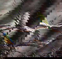 Warby-Ovens National Park