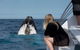 Whale Watching - thumb 1