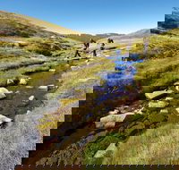 Australian Alps Walking Track - Hotel Accommodation