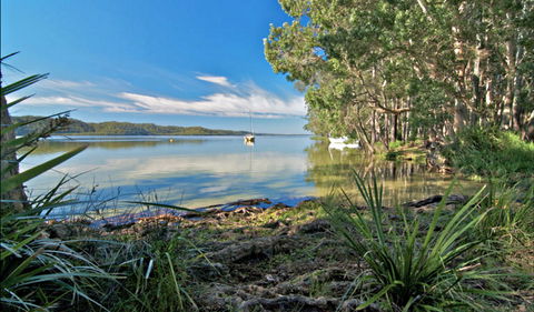 Black Oaks Picnic Area - Hotel Accommodation 0