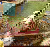 Burnie Farmers Market - Hotel Accommodation