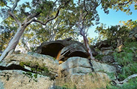 Burrawang Reach Picnic Area - Hotel Accommodation 0