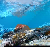 Capricorn Coast and Great Keppel Island Drive Itinerary - Hotel Accommodation