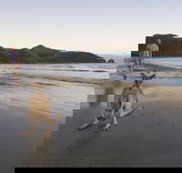 Cape Hillsborough National Park - Hotel Accommodation