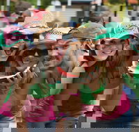 Chinchilla - Hotel Accommodation