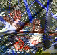 City Park - Hotel Accommodation