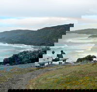 Connors Walking Track - Hotel Accommodation