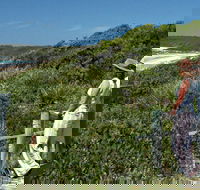 Conjola Beach Picnic Area - Hotel Accommodation