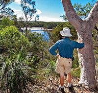 Corkwood and Scribbly Gum Walking Track - Hotel Accommodation