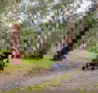 Currawong Bush Park - Hotel Accommodation