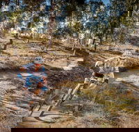 Cycle Mogo State Forest - Hotel Accommodation