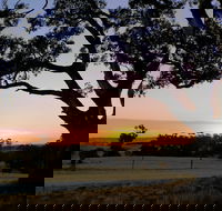 Eden Valley Lookout - Hotel Accommodation