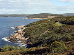 Book Albany WA Attractions Hotel Accommodation Hotel Accommodation