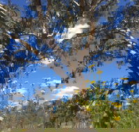Euroa Arboretum - Hotel Accommodation