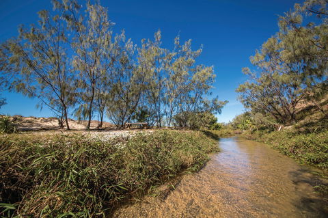 Freshwater Creek Track, Byfield National Park - Hotel Accommodation 0