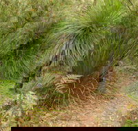 Grass Tree Circuit - Hotel Accommodation