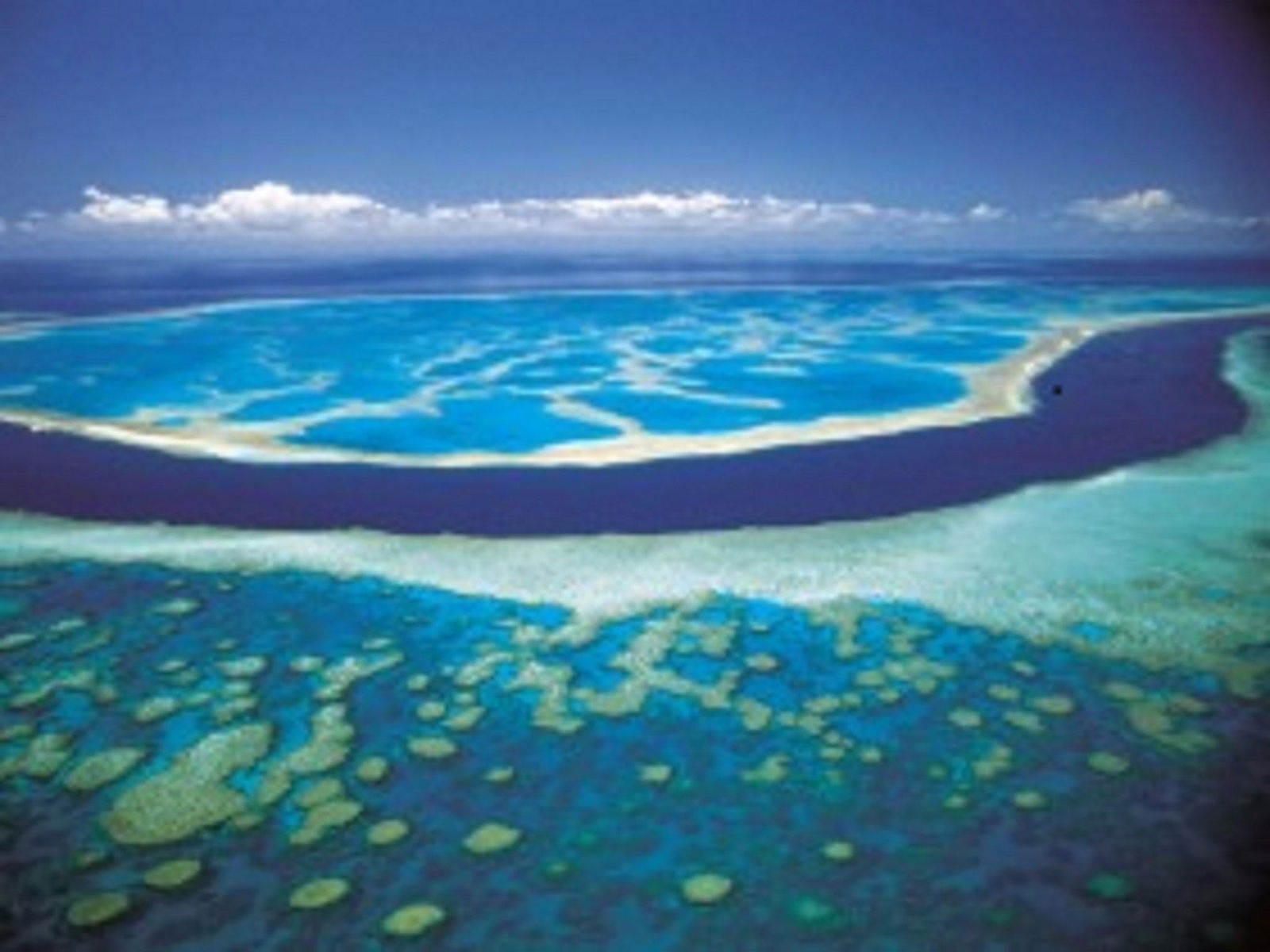 Whitsundays QLD Hotel Accommodation
