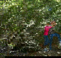 Iluka Rainforest Walking Track