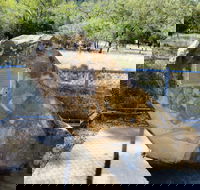 John Oxley Monument - Hotel Accommodation