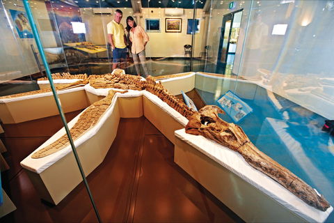 Kronosaurus Korner - Hotel Accommodation 1