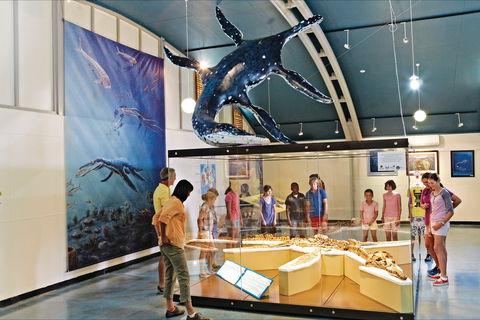 Kronosaurus Korner - Hotel Accommodation 2