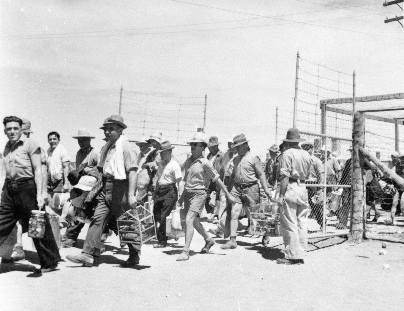 Loveday SA Hotel Accommodation