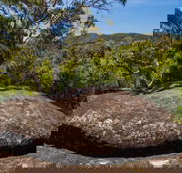 Marramarra Ridge to Smugglers Ridge walking track - Hotel Accommodation