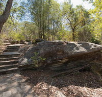 Mooney Mooney nature walk - Hotel Accommodation