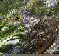 Moore Park Nature Reserve - Hotel Accommodation