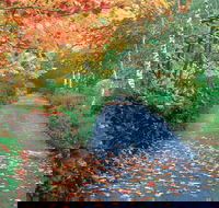 Mount Wilson and Mount Irvine - Hotel Accommodation