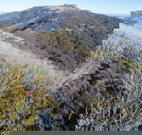 Mt Buller Bike Park - Hotel Accommodation