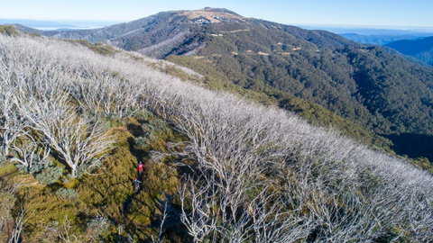Mt Buller Bike Park - Hotel Accommodation 0