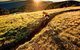 Mt Buller Bike Park - thumb 1