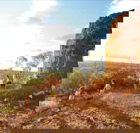 Natural Sciences Loop - Hotel Accommodation