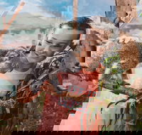 Oakvale Wildlife Park - Hotel Accommodation