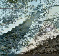 O'Sullivans Gap Picnic Area